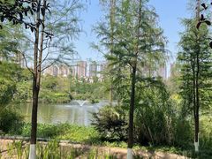 -重庆彩云湖湿地公园