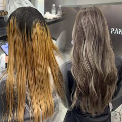 -东方麒麟·潘多拉SALON