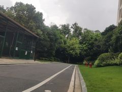 -南宁荔园维景国际酒店·荔园中餐厅