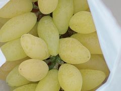 -马陆小张葡萄园农家乐