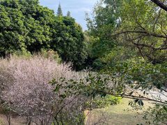 -草庵摩尼教遗址公园