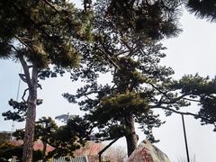 -妙峰山风景名胜区