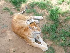-西霞口神雕山野生动物世界