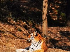 -宁波野生动物园