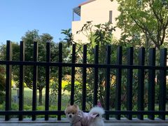 -上海崇明金茂凯悦酒店