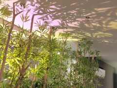 -施奈儿.洗头頭療.按摩SPA.采耳(上梅林店)