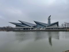 -盐城丹顶鹤湿地生态旅游区