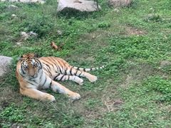 -西安秦岭野生动物园