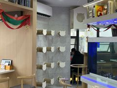 -喵园·猫主题咖啡厅·撸猫·猫咖(国贸店)