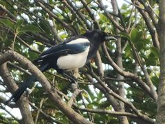 -天鹅湖体育公园