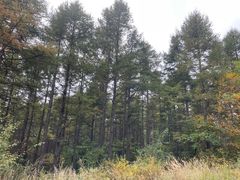 -白草畔自然风景区