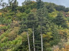 -玉渡山自然风景区