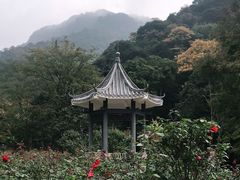 -广州市石门国家森林公园