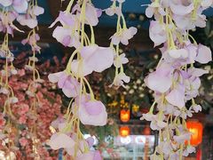 -文楼·淮扬菜·淮安早茶(河下古镇翔宇店)