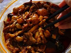 -老佛爷蛙锅•鲜蛙煲(麦凯乐店)
