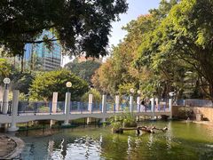 -九龙公园