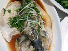 -多多旺港式茶餐厅(新区店)