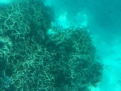 -蓝湾海滩
