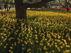 -长春公园(普阳街道)