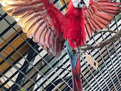 -中国天府农业博览园