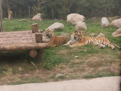 -西安秦岭野生动物园