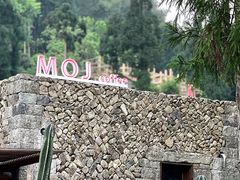 -MOJ coffee(瓯海泽雅水碓坑店)