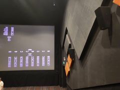 -金逸影城(大悦城IMAX激光店)