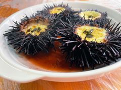 海胆-众味海鲜大排档·活海鲜·潮汕味(南澳店)