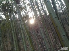 -南山风景名胜区