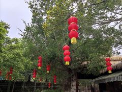 -丹樱生态园