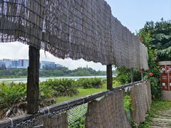 -华侨城湿地公园