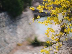 -北京凤凰岭