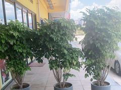 -张钰强中医正骨推拿连锁(唐家人才公寓店)