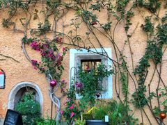 -布劳伽斯特豪夫哈尔施塔特宾馆