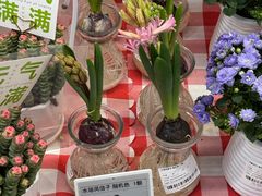 -盒马鲜生(悦峰店)
