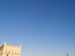 -商业广场(Praça do Comércio)