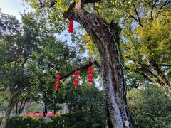 -广州中山纪念堂