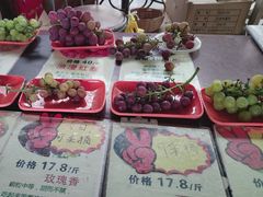 -马陆小张葡萄园农家乐