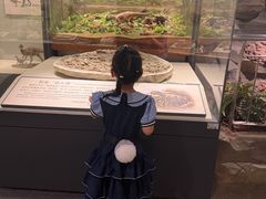 -辽宁古生物博物馆