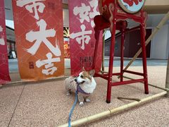 -上海长风大悦城