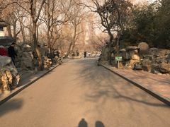 -北京动物园