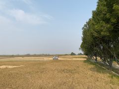 -秦始皇帝陵博物院-丽山园