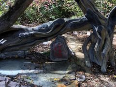 -大青沟风景区
