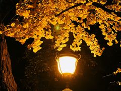 -八大关景区