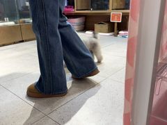 -FAELING PETS美天灵宠物(富力广场店)