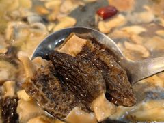 高山羊肚菌-蘑统田下·野生菌火锅