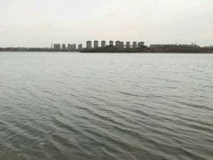 -丁香湖公园