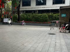 -荔湾湖公园