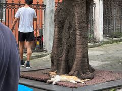 -熊面妈老面馆