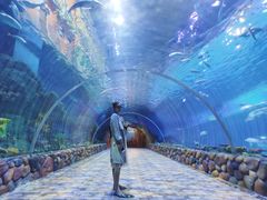 -华夏文旅海洋公园